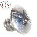 Ss 304 Truss Head Phillips Bolt con cuello